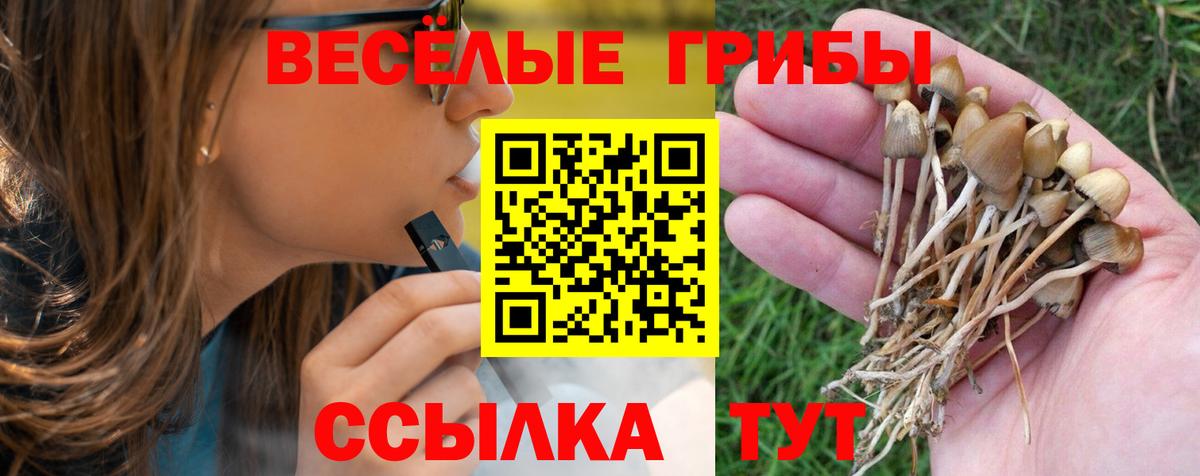 Сертолово  Галлюциногенные грибы Magic Shrooms  Вход с VPN  Галлюциногенные грибы ЛСД 